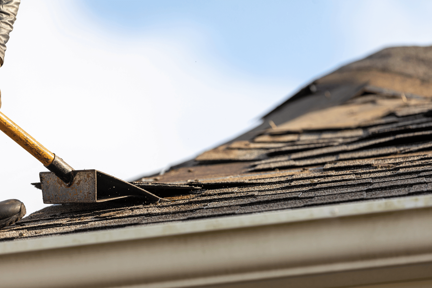 A photo of workers removing old shingles from a roof