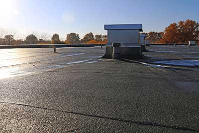 Flat roofing membrane 1