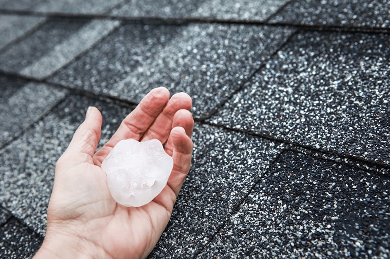 Illustration of damaged asphalt shingles