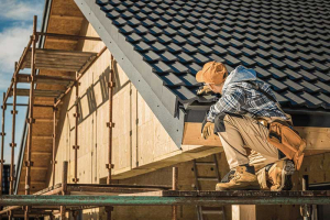 Illustration Of Inspecting Various Roofing Materials