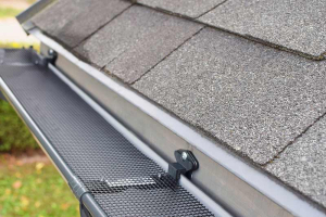 gutter guard