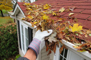 gutter with leaves