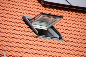 residential skylight 1