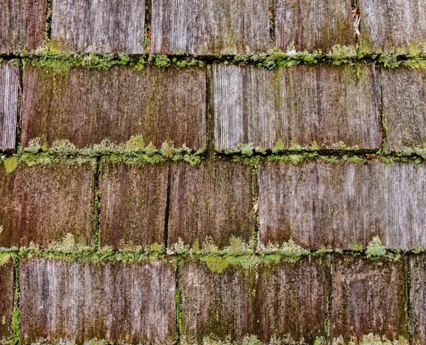 Cedar Roof Damage