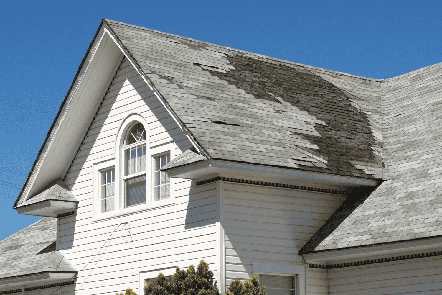 Signs of roof damage including curling shingles and leaks.